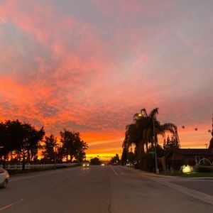 Meet your Posher, Caitlin